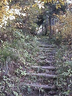 尾根へ急登