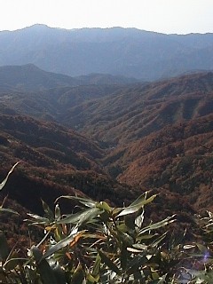 山頂避難小屋
