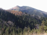 鉢伏山