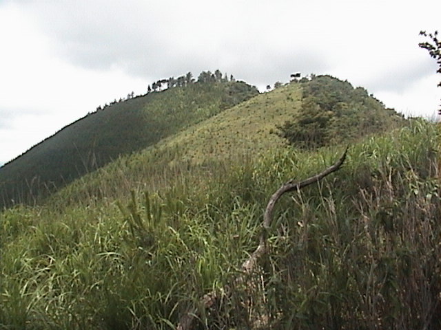 日名倉山