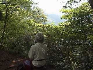 ベンチに腰を下ろす女性