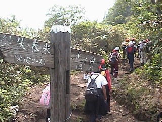 元気な子供達