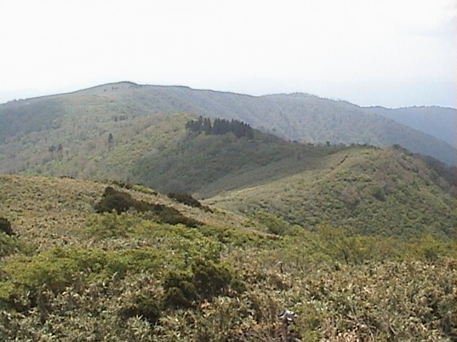 山頂より三ノ丸、西尾根