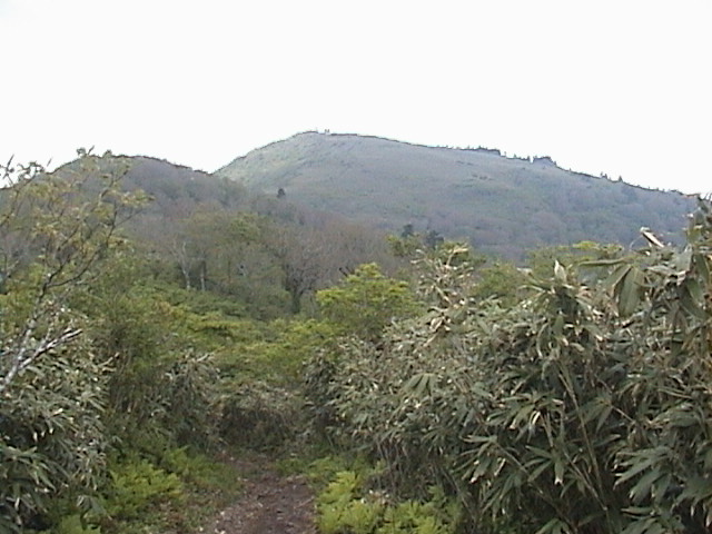 氷ノ山を振り返る