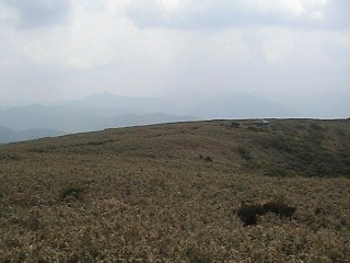 展望台から南望