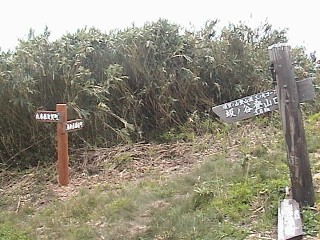 下山路分岐点