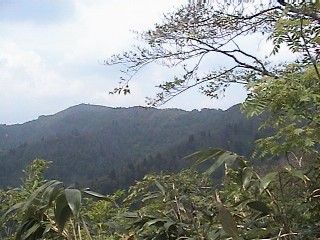 西尾根上部より氷ノ山を望む