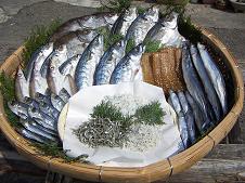 ���̑��̏��i�w