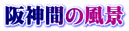 _Ԃ̕i
