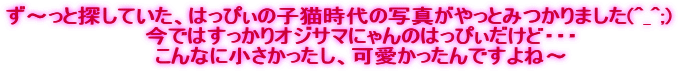 ず〜っと探していた、はっぴぃの子猫時代の写真がやっとみつかりました(^_^;)
今ではすっかりオジサマにゃんのはっぴぃだけど・・・
こんなに小さかったし、可愛かったんですよね〜