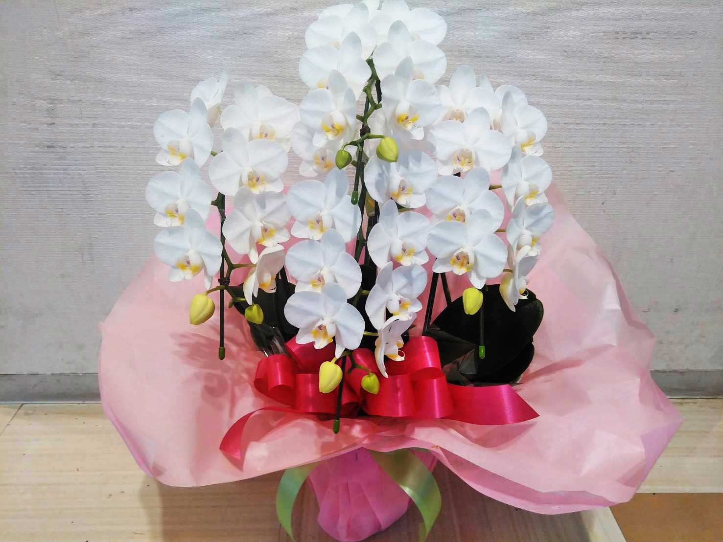 白 3本立