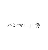ハンマー画像