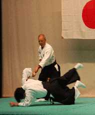 合気道杖投げ