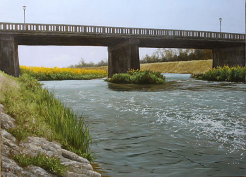 �؂̉Ԃ̍炭��