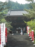 hasedera