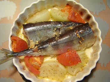 �����̔ӌ��