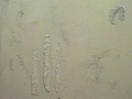 070203-1F-MASUMOTO-PHOTO024.jpg