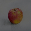 g01.jpg