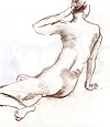 img038.jpg