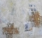 IMGP0104-72.JPG