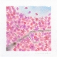 sakura72.jpg