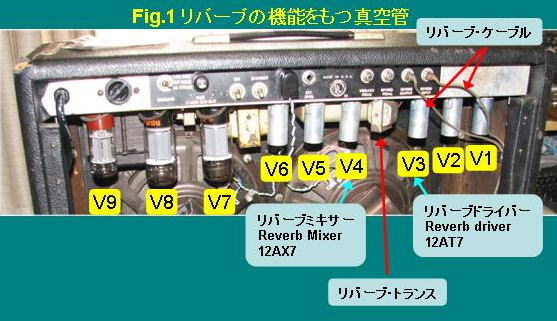 Fig.1 o[uɊ֘A^ǂ̃|WV̐}