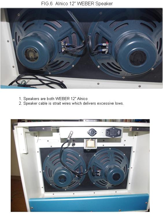 mounted speakers, Weber alnico 12 x 2