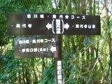 Gate