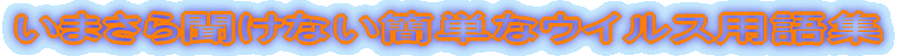܂畷ȂȒPȃECXpW