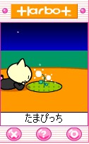 ܂҂1