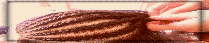 myweb1016023.gif