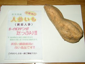 これが人参いも