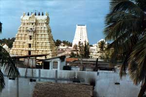 南インドの聖地ラーマナタスワーミ寺院。ヒンドゥー教徒以外は中には入れません。外の回廊のみ。