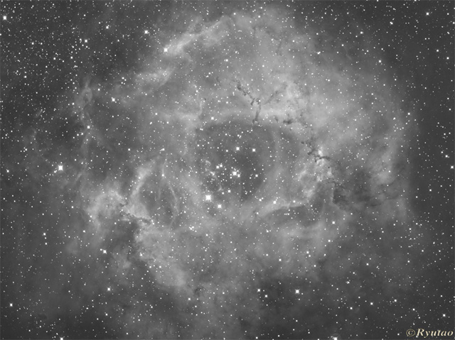 Rosette Nebula