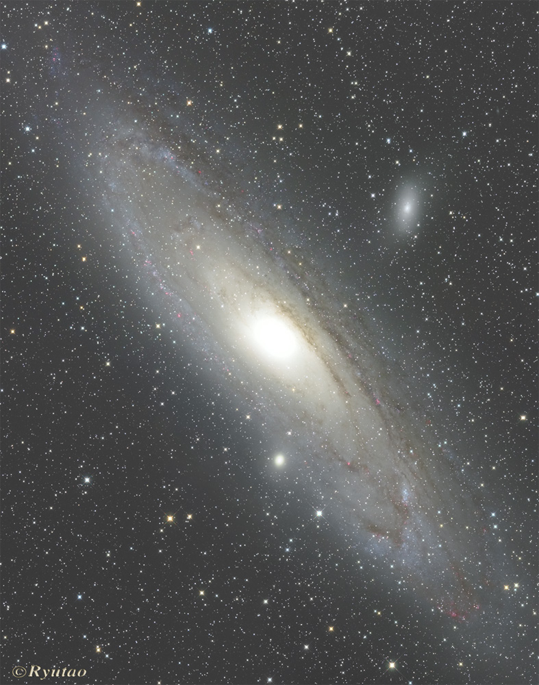 M31