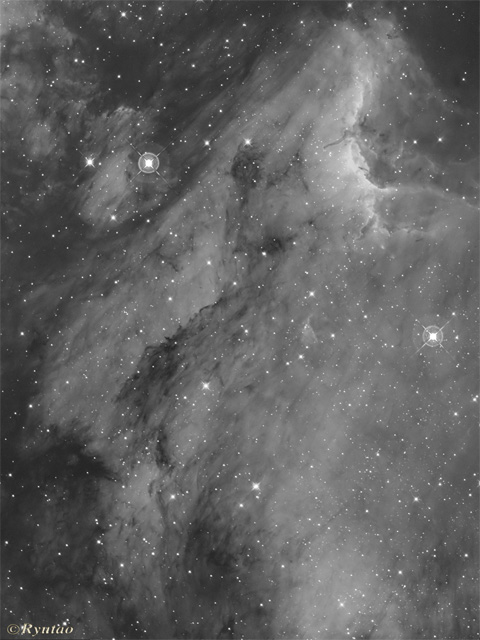 Pelican Nebula