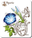 `r-Zodiac`