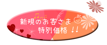 新規のお客様 特別価格