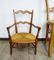 A-22 �q���p�Ђ��|���֎q