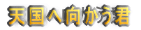 V֌N
