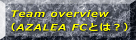 Team overview iAZALEA FCƂ́Hj