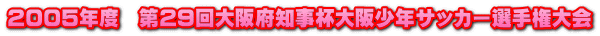 2005年度　第29回大阪府知事杯大阪少年サッカー選手権大会