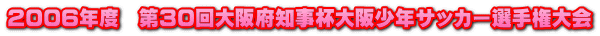 2006年度　第30回大阪府知事杯大阪少年サッカー選手権大会