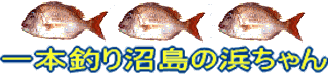 {ނ̕l