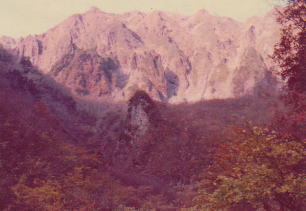 ̊ǁAmq