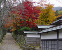 紅葉