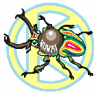 kuwai