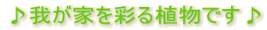 �䂪�Ƃ��ʂ�A���B