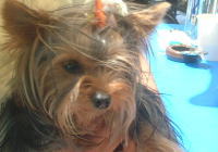 �����̎ʐ^