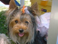 �����̎ʐ^